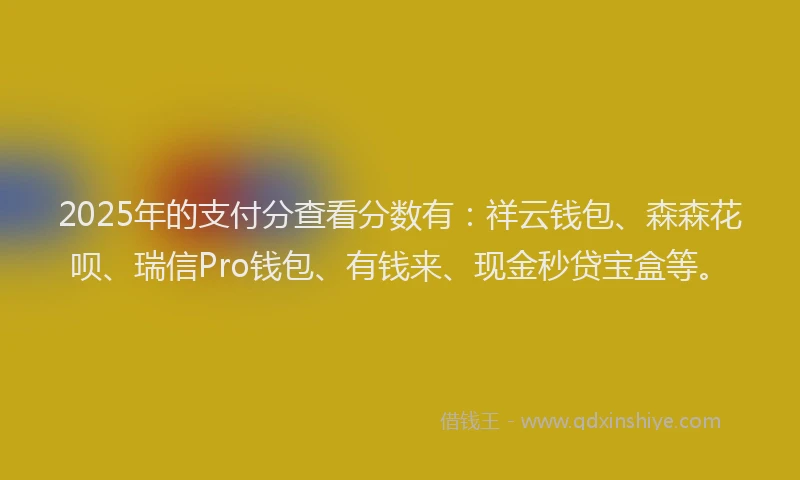 2025年的支付分查看分数有：祥云钱包、森森花呗、瑞信Pro钱包、有钱来、现金秒贷宝盒等。