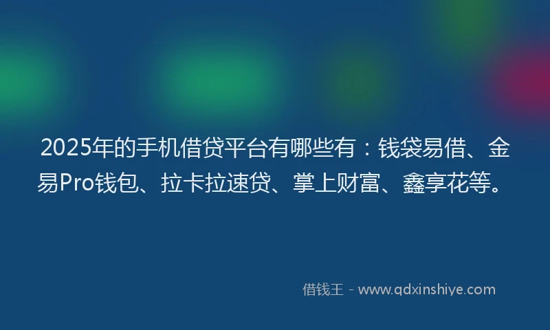 2025年的手机借贷平台有哪些有：钱袋易借、金易Pro钱包、拉卡拉速贷、掌上财富、鑫享花等。