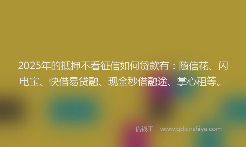 2025年的抵押不看征信如何贷款有：随信花、闪电宝、快借易贷融、现金秒借融途、掌心租等。