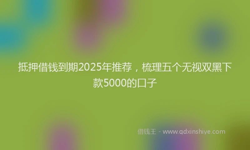 抵押借钱到期2025年推荐，梳理五个无视双黑下款5000的口子