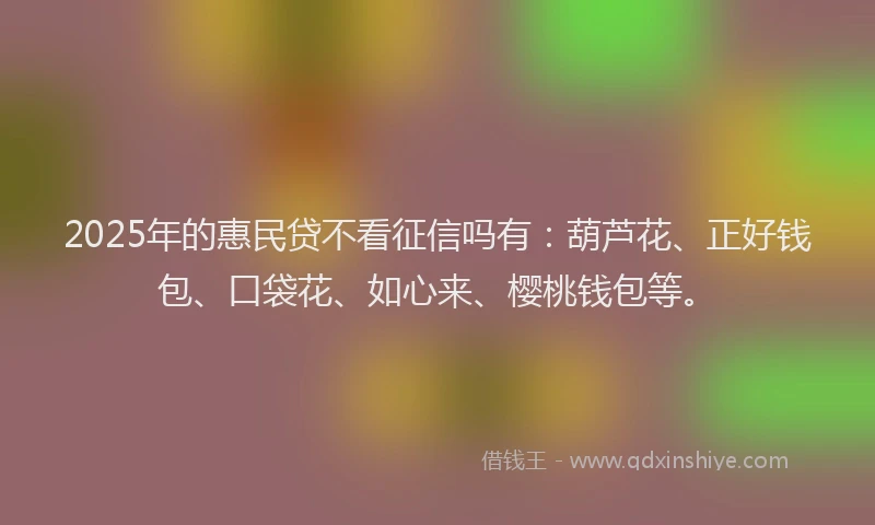 2025年的惠民贷不看征信吗有：葫芦花、正好钱包、口袋花、如心来、樱桃钱包等。