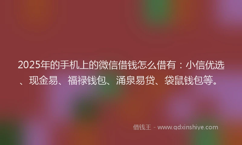 2025年的手机上的微信借钱怎么借有：小信优选、现金易、福禄钱包、涌泉易贷、袋鼠钱包等。
