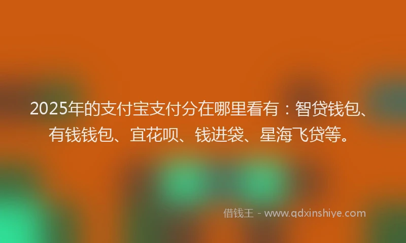 2025年的支付宝支付分在哪里看有：智贷钱包、有钱钱包、宜花呗、钱进袋、星海飞贷等。