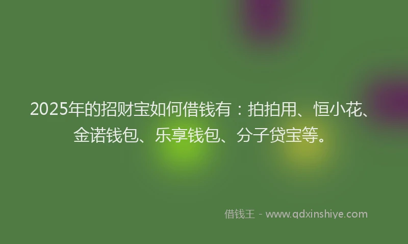 2025年的招财宝如何借钱有：拍拍用、恒小花、金诺钱包、乐享钱包、分子贷宝等。