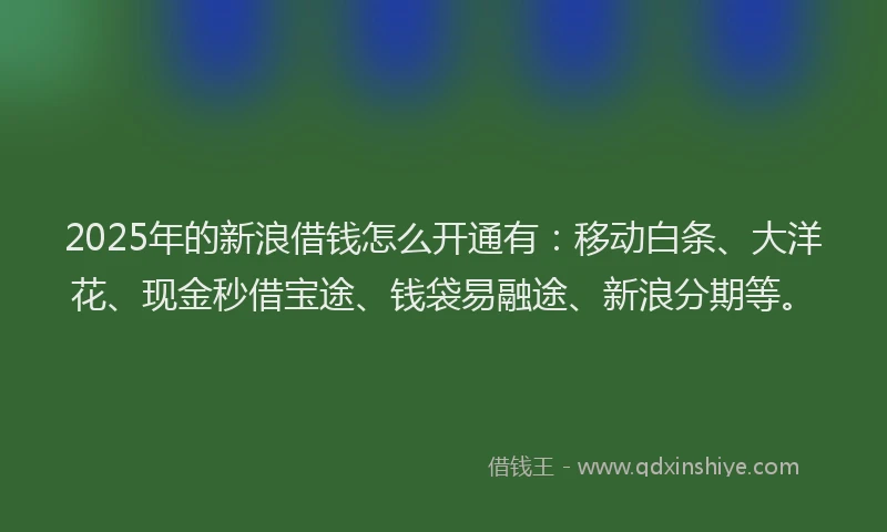 2025年的新浪借钱怎么开通有：移动白条、大洋花、现金秒借宝途、钱袋易融途、新浪分期等。
