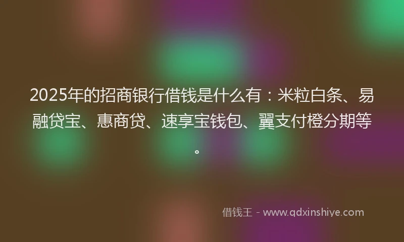 2025年的招商银行借钱是什么有：米粒白条、易融贷宝、惠商贷、速享宝钱包、翼支付橙分期等。