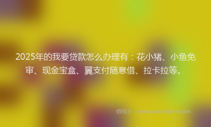 2025年的我要贷款怎么办理有：花小猪、小鱼免审、现金宝盒、翼支付随意借、拉卡拉等。