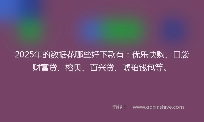 2025年的数据花哪些好下款有：优乐快购、口袋财富贷、榕贝、百兴贷、琥珀钱包等。