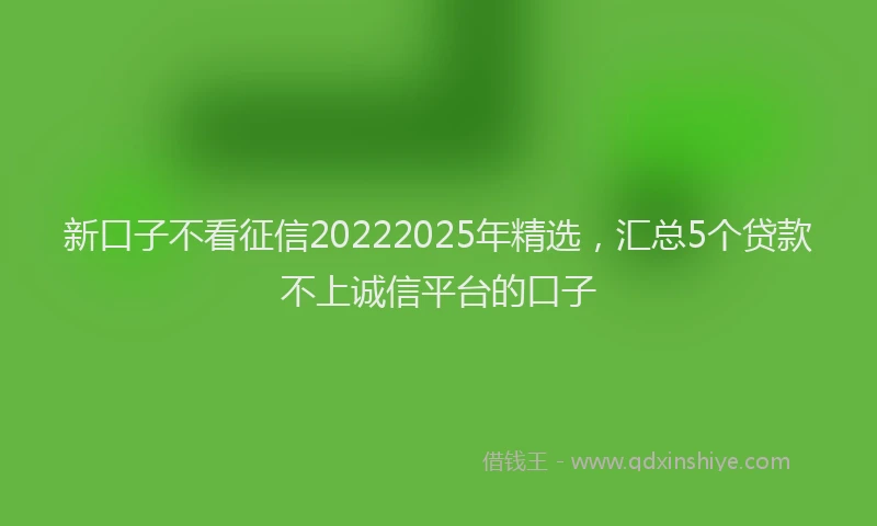 新口子不看征信20222025年精选，汇总5个贷款不上诚信平台的口子