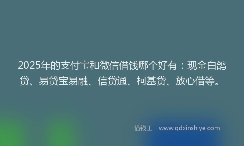 2025年的支付宝和微信借钱哪个好有：现金白鸽贷、易贷宝易融、信贷通、柯基贷、放心借等。