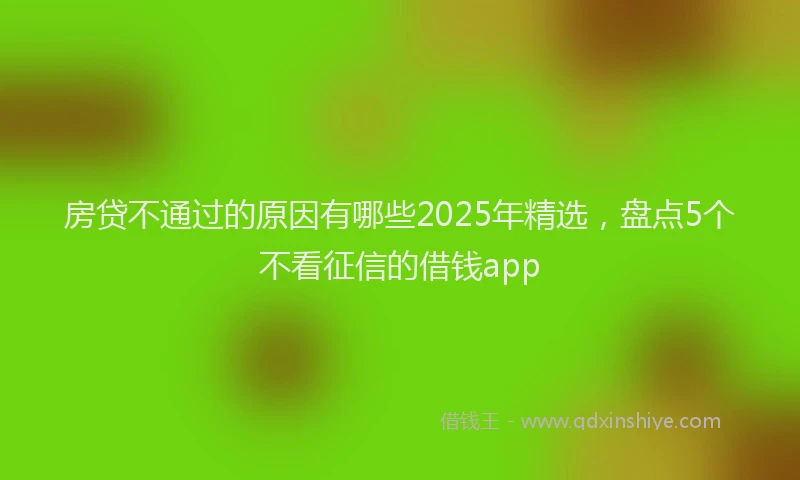 房贷不通过的原因有哪些2025年精选，盘点5个不看征信的借钱app