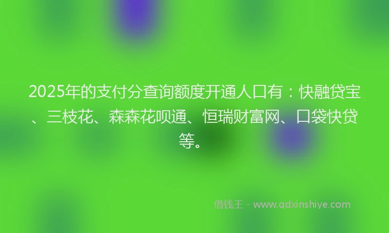 2025年的支付分查询额度开通人口有：快融贷宝、三枝花、森森花呗通、恒瑞财富网、口袋快贷等。