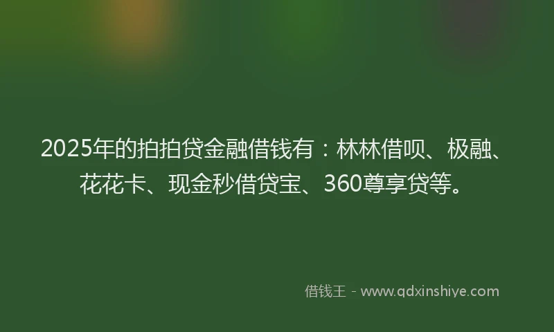 2025年的拍拍贷金融借钱有：林林借呗、极融、花花卡、现金秒借贷宝、360尊享贷等。