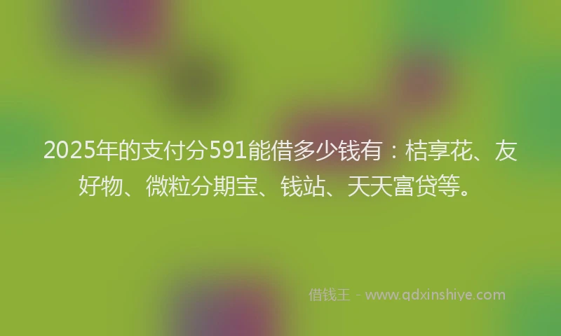 2025年的支付分591能借多少钱有：桔享花、友好物、微粒分期宝、钱站、天天富贷等。