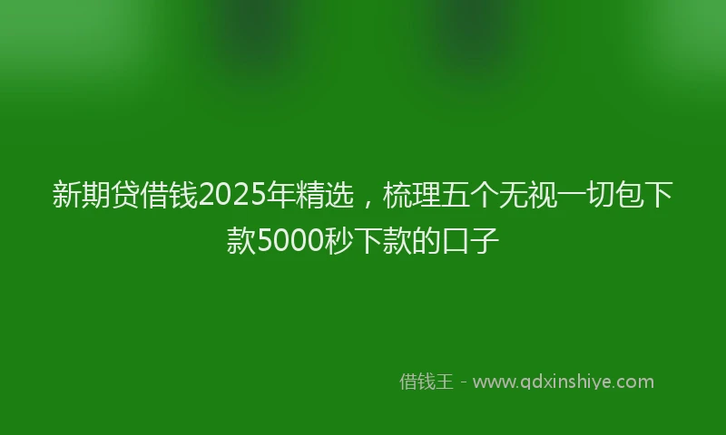 新期贷借钱2025年精选，梳理五个无视一切包下款5000秒下款的口子
