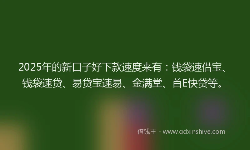 2025年的新口子好下款速度来有：钱袋速借宝、钱袋速贷、易贷宝速易、金满堂、首E快贷等。