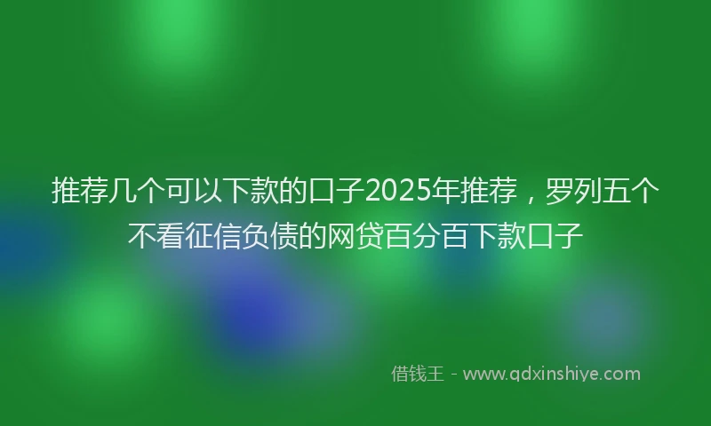 推荐几个可以下款的口子2025年推荐，罗列五个不看征信负债的网贷百分百下款口子