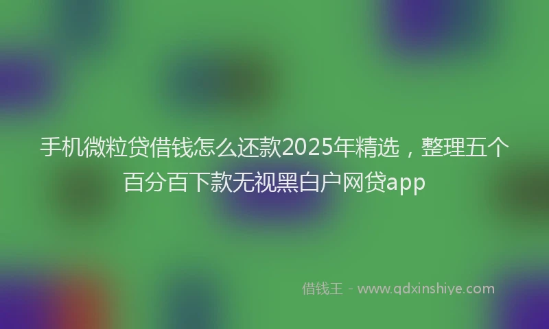 手机微粒贷借钱怎么还款2025年精选，整理五个百分百下款无视黑白户网贷app