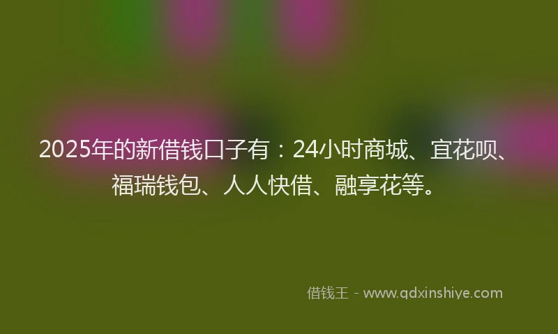 2025年的新借钱口子有：24小时商城、宜花呗、福瑞钱包、人人快借、融享花等。