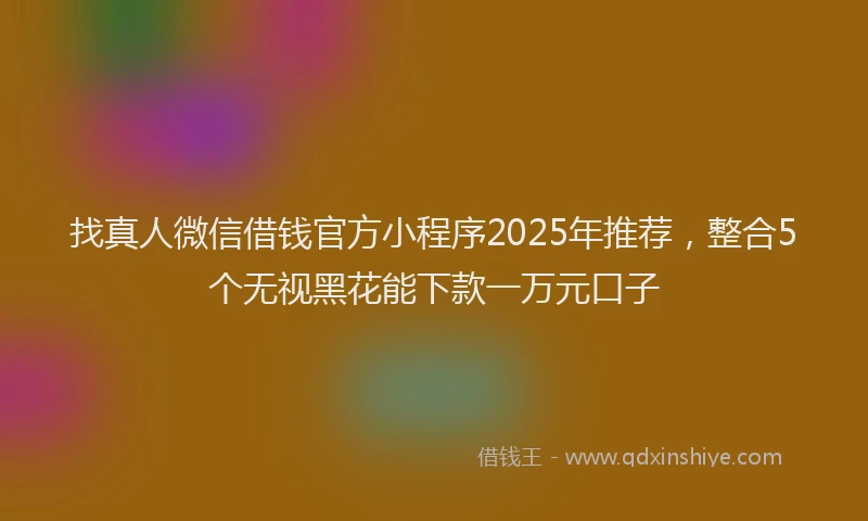 找真人微信借钱官方小程序2025年推荐，整合5个无视黑花能下款一万元口子