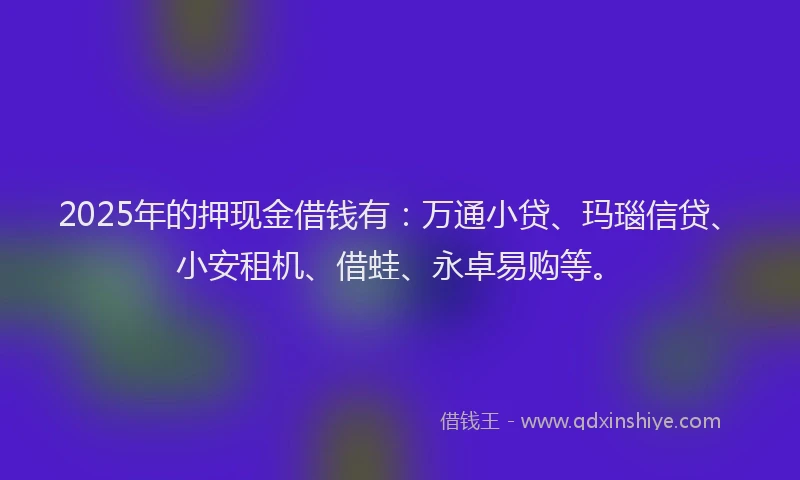 2025年的押现金借钱有：万通小贷、玛瑙信贷、小安租机、借蛙、永卓易购等。