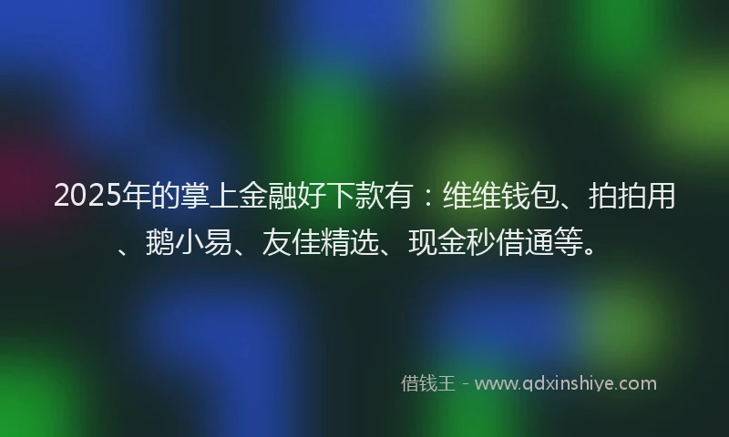 2025年的掌上金融好下款有：维维钱包、拍拍用、鹅小易、友佳精选、现金秒借通等。