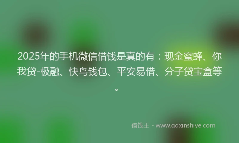 2025年的手机微信借钱是真的有：现金蜜蜂、你我贷-极融、快鸟钱包、平安易借、分子贷宝盒等。