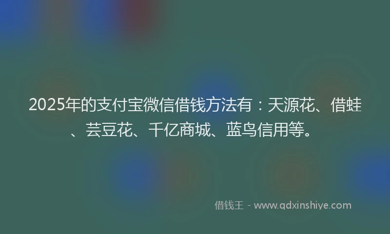 2025年的支付宝微信借钱方法有：天源花、借蛙、芸豆花、千亿商城、蓝鸟信用等。