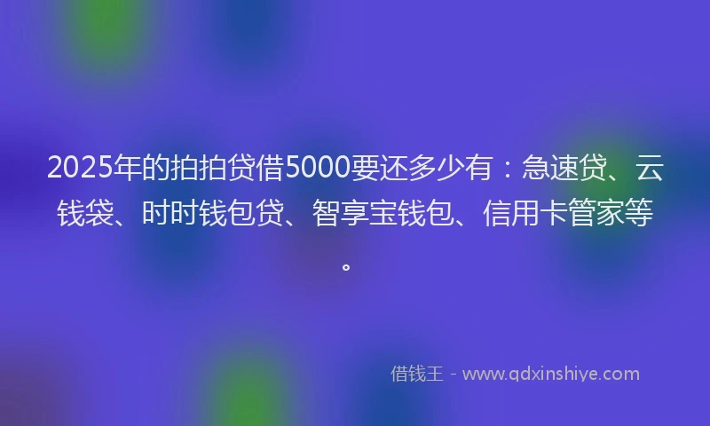 2025年的拍拍贷借5000要还多少有：急速贷、云钱袋、时时钱包贷、智享宝钱包、信用卡管家等。