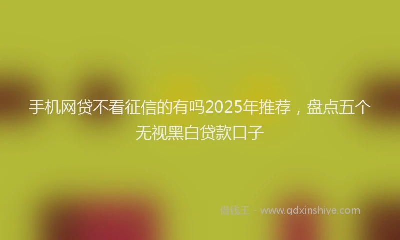 手机网贷不看征信的有吗2025年推荐，盘点五个无视黑白贷款口子