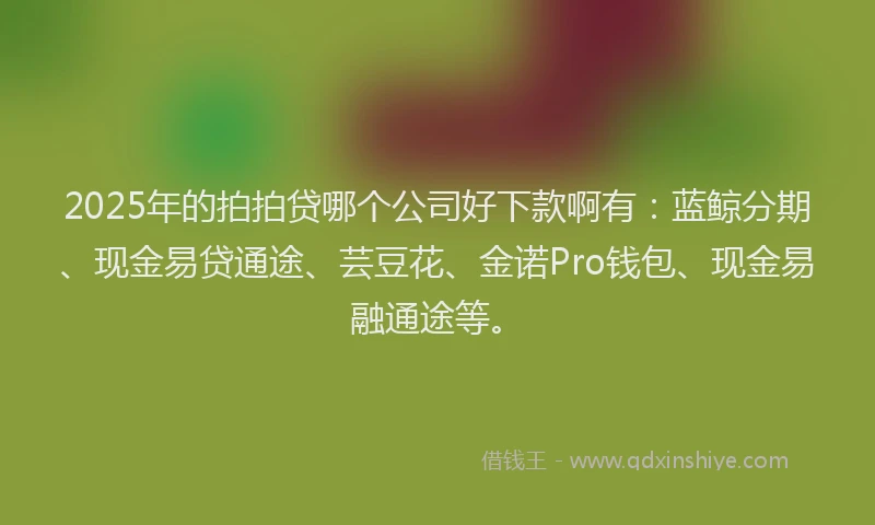2025年的拍拍贷哪个公司好下款啊有：蓝鲸分期、现金易贷通途、芸豆花、金诺Pro钱包、现金易融通途等。