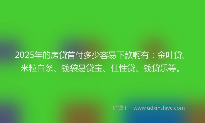 2025年的房贷首付多少容易下款啊有：金叶贷、米粒白条、钱袋易贷宝、任性贷、钱贷乐等。