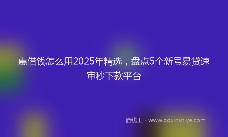 惠借钱怎么用2025年精选，盘点5个新号易贷速审秒下款平台