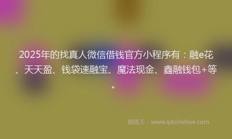 2025年的找真人微信借钱官方小程序有：融e花、天天盈、钱袋速融宝、魔法现金、鑫融钱包+等。