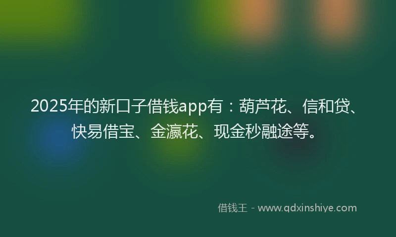 2025年的新口子借钱app有：葫芦花、信和贷、快易借宝、金瀛花、现金秒融途等。