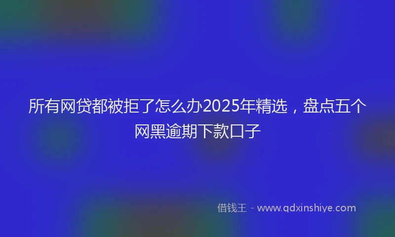 所有网贷都被拒了怎么办2025年精选，盘点五个网黑逾期下款口子