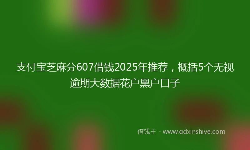 支付宝芝麻分607借钱2025年推荐，概括5个无视逾期大数据花户黑户口子