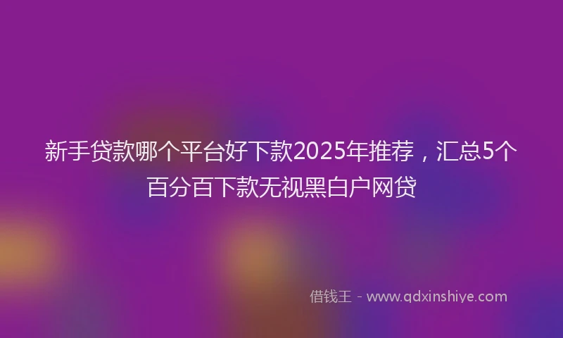 新手贷款哪个平台好下款2025年推荐，汇总5个百分百下款无视黑白户网贷
