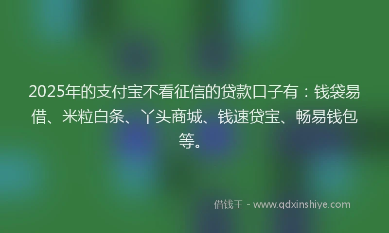 2025年的支付宝不看征信的贷款口子有：钱袋易借、米粒白条、丫头商城、钱速贷宝、畅易钱包等。