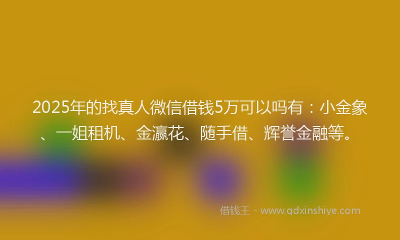 2025年的找真人微信借钱5万可以吗有：小金象、一姐租机、金瀛花、随手借、辉誉金融等。