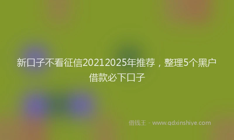 新口子不看征信20212025年推荐，整理5个黑户借款必下口子