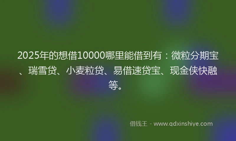 2025年的想借10000哪里能借到有：微粒分期宝、瑞雪贷、小麦粒贷、易借速贷宝、现金侠快融等。