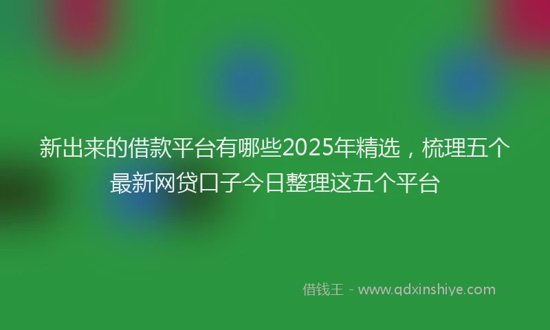 新出来的借款平台有哪些2025年精选，梳理五个最新网贷口子今日整理这五个平台