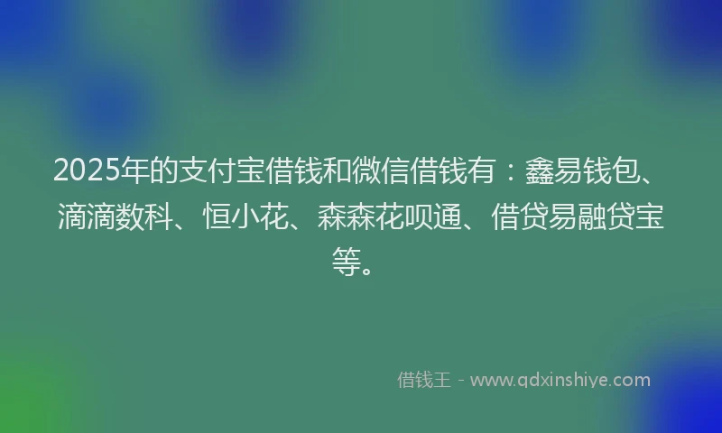 2025年的支付宝借钱和微信借钱有：鑫易钱包、滴滴数科、恒小花、森森花呗通、借贷易融贷宝等。