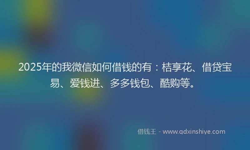 2025年的我微信如何借钱的有：桔享花、借贷宝易、爱钱进、多多钱包、酷购等。