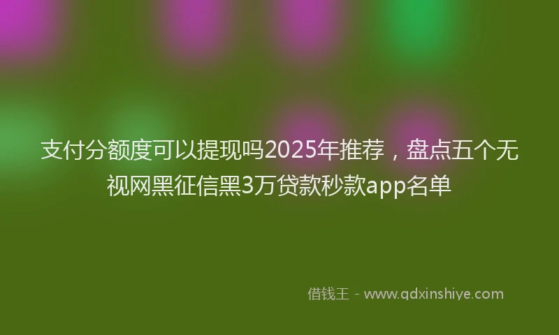 支付分额度可以提现吗2025年推荐，盘点五个无视网黑征信黑3万贷款秒款app名单