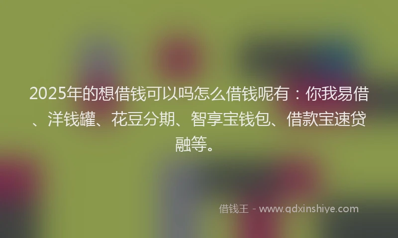 2025年的想借钱可以吗怎么借钱呢有：你我易借、洋钱罐、花豆分期、智享宝钱包、借款宝速贷融等。
