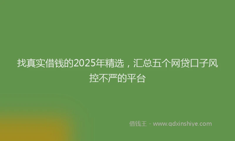 找真实借钱的2025年精选，汇总五个网贷口子风控不严的平台