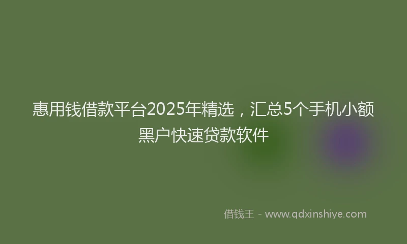 惠用钱借款平台2025年精选，汇总5个手机小额黑户快速贷款软件