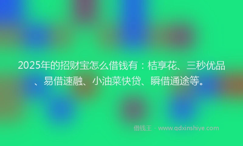 2025年的招财宝怎么借钱有：桔享花、三秒优品、易借速融、小油菜快贷、瞬借通途等。
